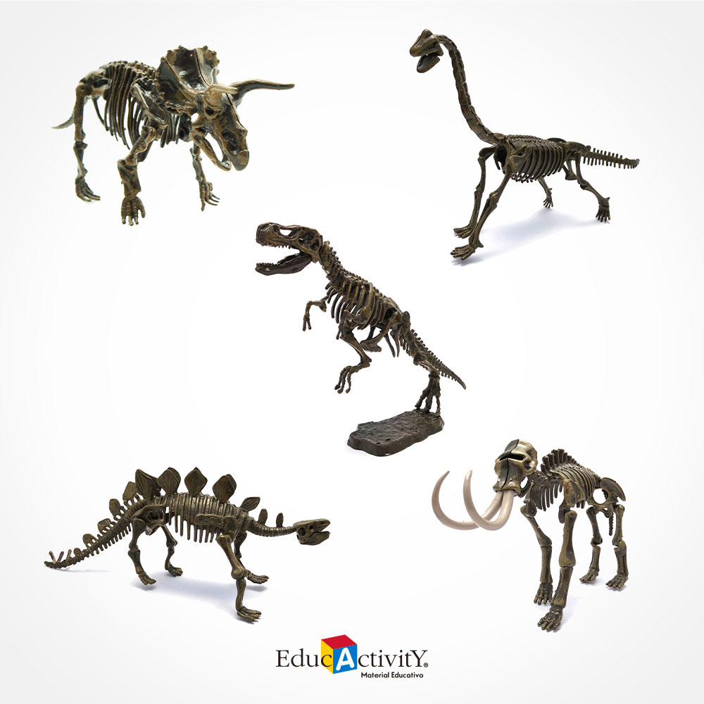 Powerking Fósil de Dinosaurio,Excavar y Descubrir Dinosaurio jurásico para niños,Rompecabezas Huesos Educativo Arqueología Fósil Esqueleto Pterosaurio 